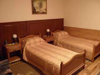 Отель Отель Орлиное гнездо Subottsi Стандартный двухместный номер с 2 отдельными кроватями-1